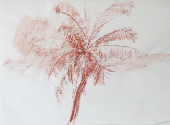 Palm Tree Trinidad